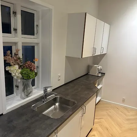 Apartment Stayroyal Kolding